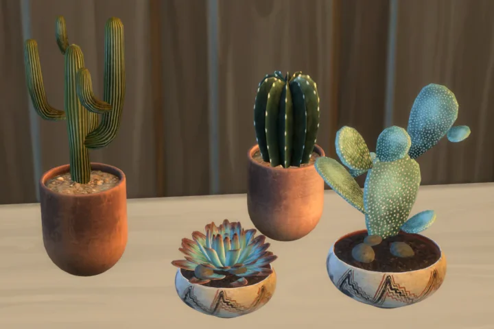 Boho cactus set