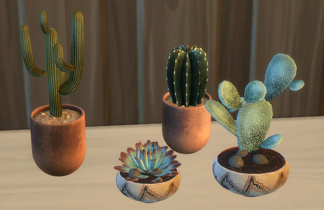 Boho cactus set