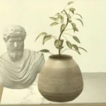 Serene scents bath set