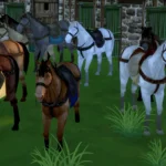 Default Replacement Horse for Discover University Bicycle