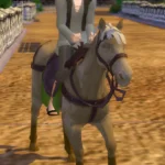 Default Replacement Horse for Discover University Bicycle