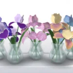 set Iris