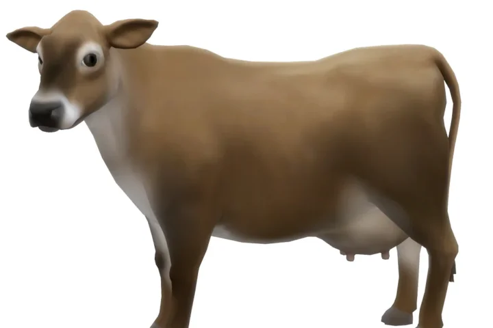 Jersey Cow for the Animal Shed