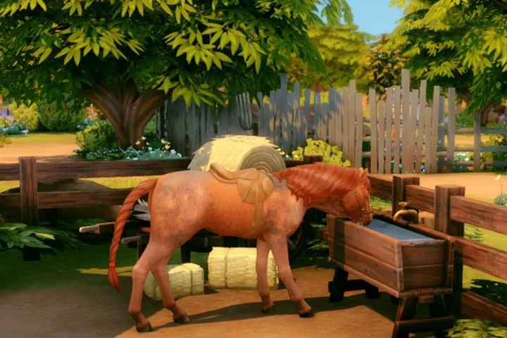 Woodn Horse Ranch