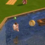 WFS Beach Converted