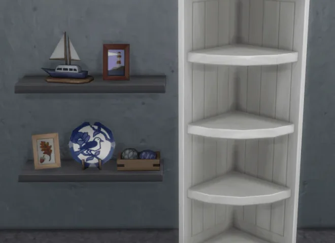 Knick Knack Clutter & Shelf