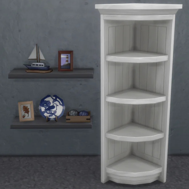 Knick Knack Clutter & Shelf