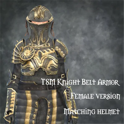 TSM Knight Belt Armor for ladies - with matching helmet