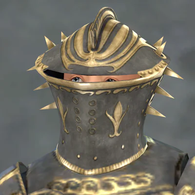 TSM Knight Belt Armor for male adults - with matching helmet