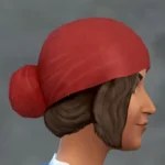 TSM Wrap Knot with Hair Attached