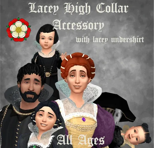 Lacey High Collar Accessory