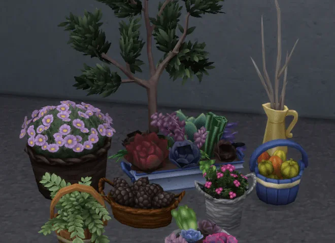 Laundry Day Plants