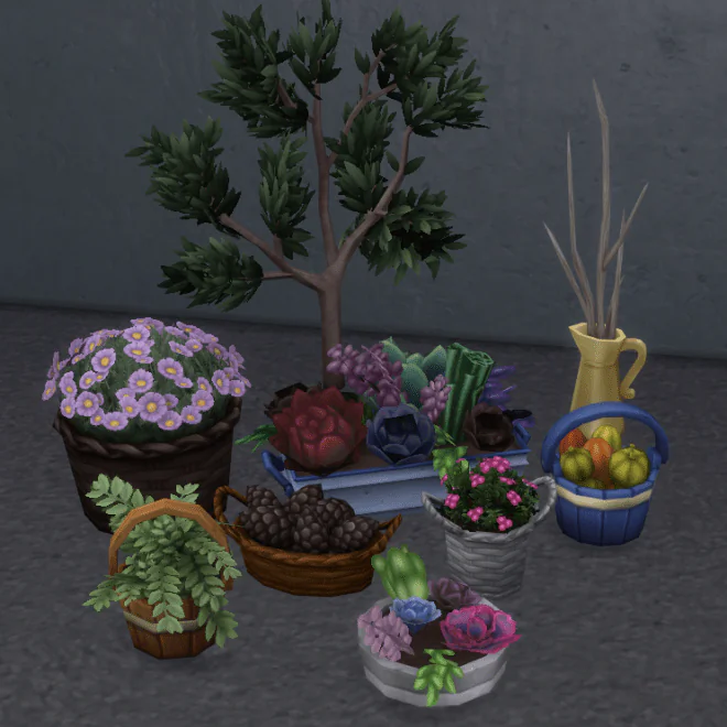 Laundry Day Plants