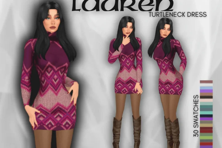 LAUREN TURTLENECK DRESS