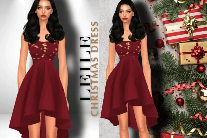 LEILE CHRISTMAS & NEW YEAR DRESS