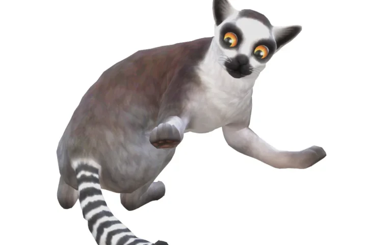 Lemur
