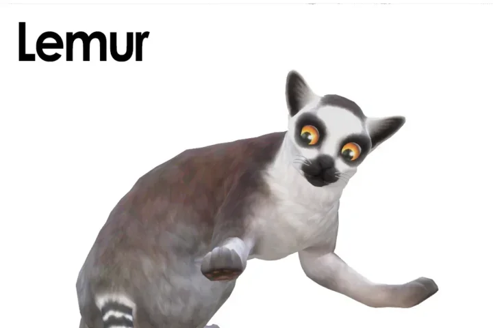 Lemur