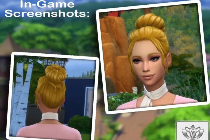 Polly Hair [T-E]