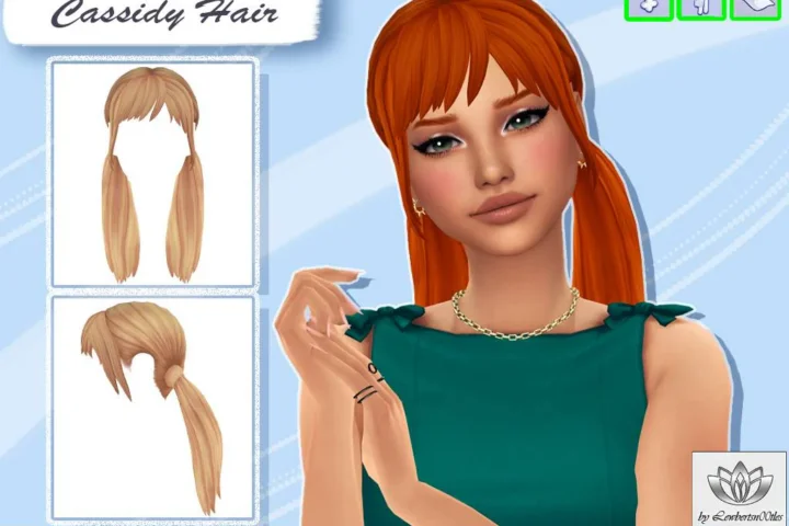 Cassidy Hair [T-E]