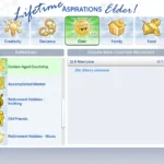 Lifetime Aspirations Reworked