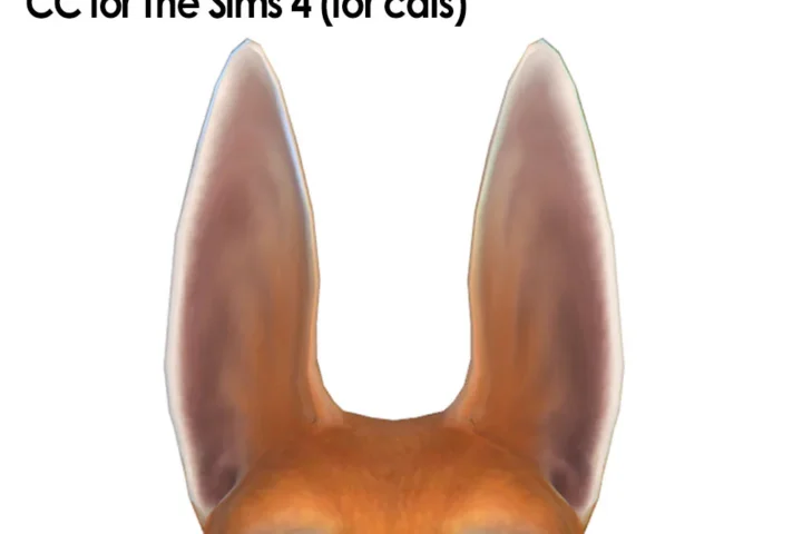 Rabbit (Cat)