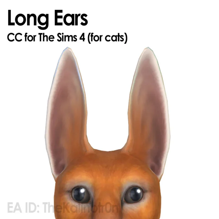 Rabbit (Cat)