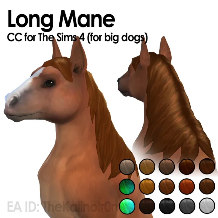 Long Mane/ Unicorn Mane