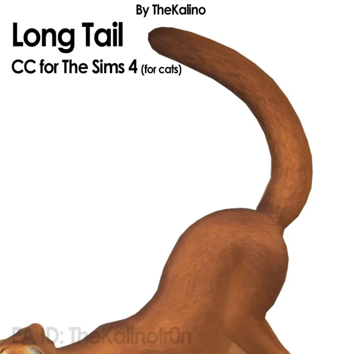 Long Tail