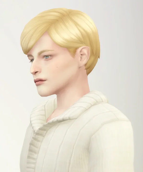 Mid Swept Edit Hair (Male)
