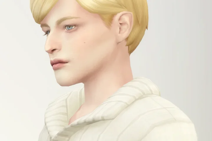 Mid Swept Edit Hair (Male)