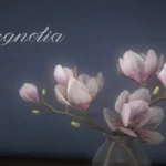 Magnolia