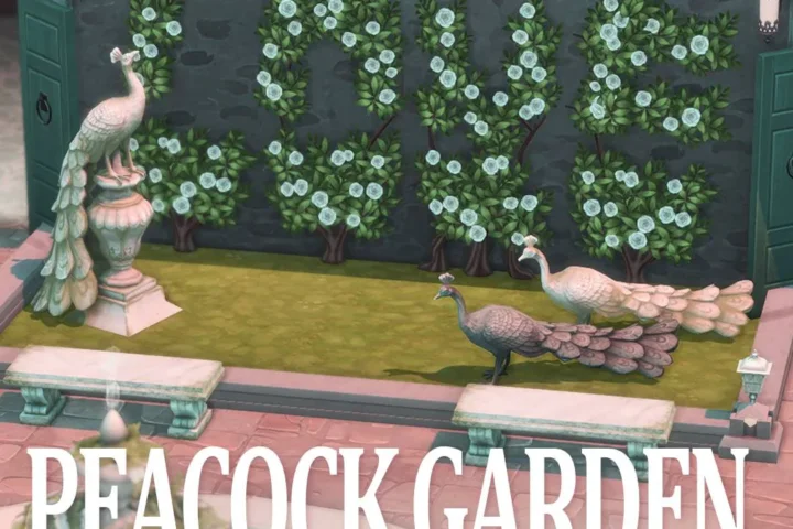 Peacock Garden🦚SET