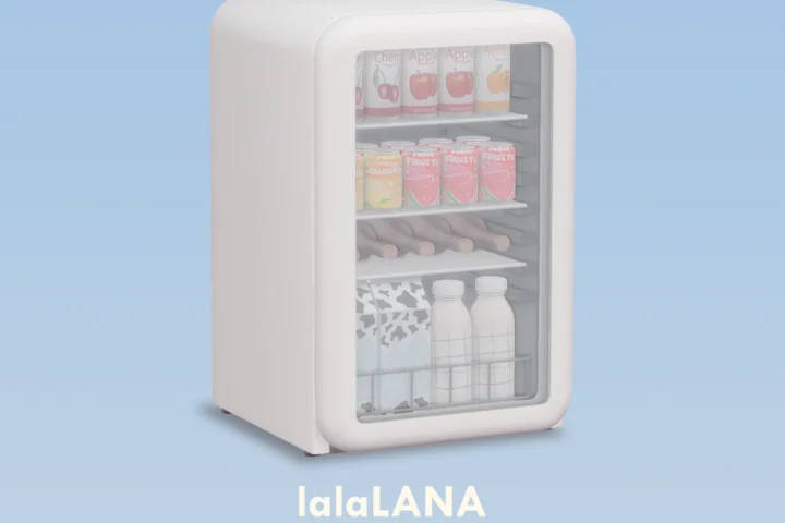 LANA - Functional Mini Fridge