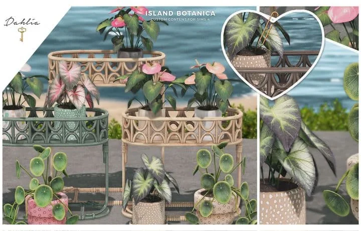 Набор растений Island Botanica