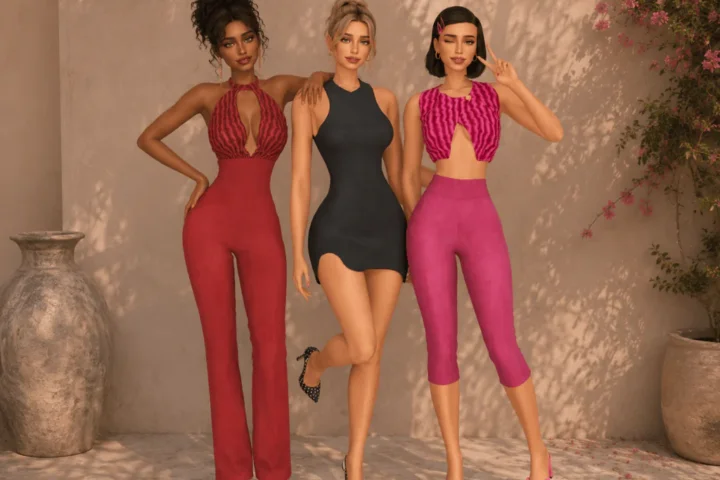 CITY CHIC COLLECTION