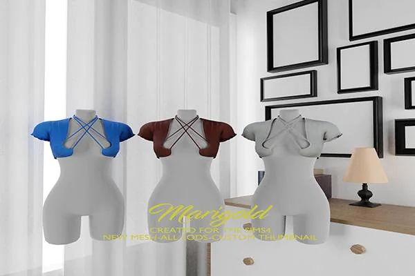 MARIGOLD TS4_LUSSI TOP