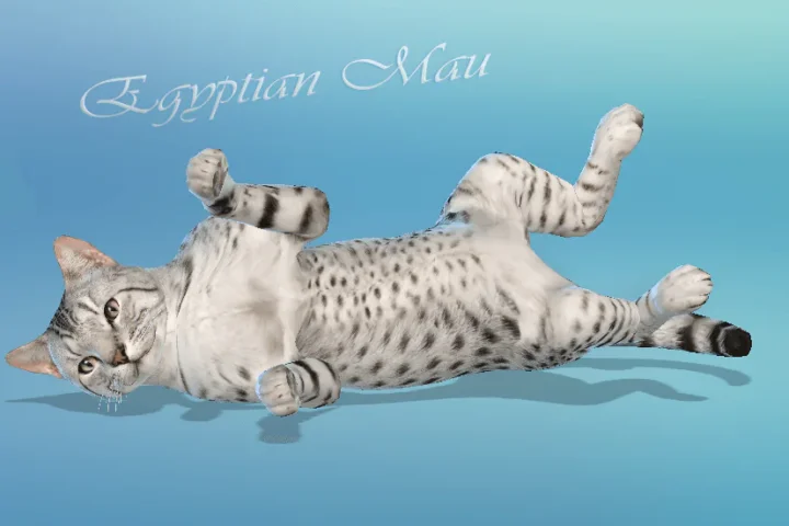 [PW] HD Egyptian Mau