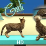 [PW] HD Egyptian Mau