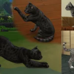 [PW] HD Egyptian Mau