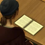 Замена личного дневника «Life is Strange» | 4 варианта