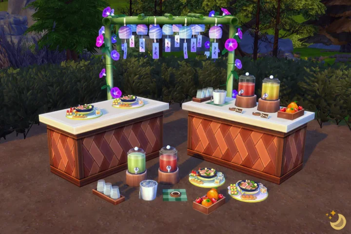 Outdoor Party Set