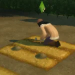 Vegetable Patch Set