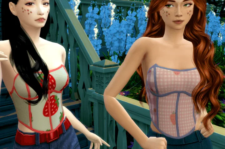 Sylvie Corset Top