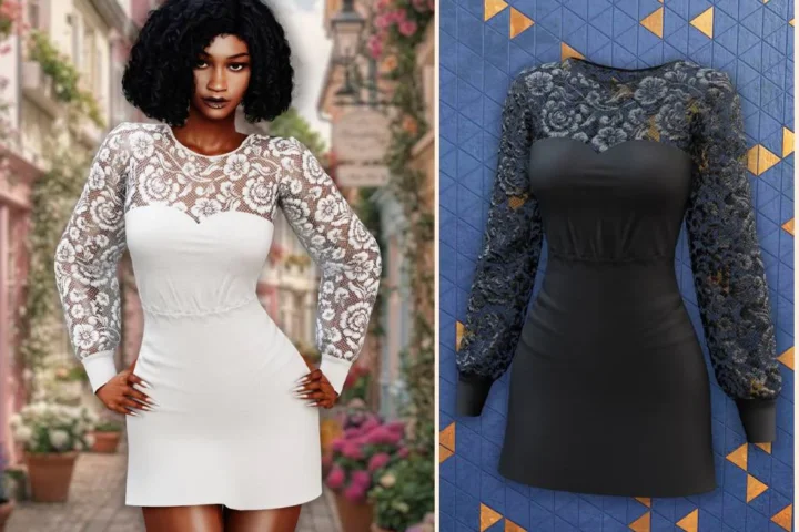 Lace elegance dress