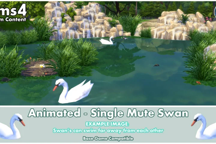 Animated - Single Mute Swan ~ Bird ~ Animal ~ Pet