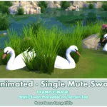 Animated - Single Mute Swan ~ Bird ~ Animal ~ Pet