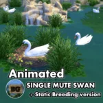 Animated - Single Mute Swan ~ Bird ~ Animal ~ Pet