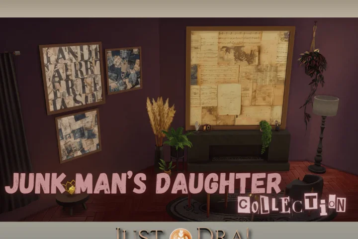 Junk Man's Daughter Collection