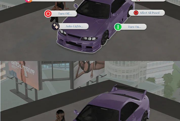 Car Poses