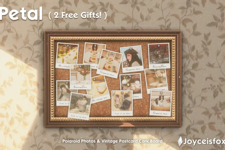 PETAL - Polaroid Photos & Corkboards